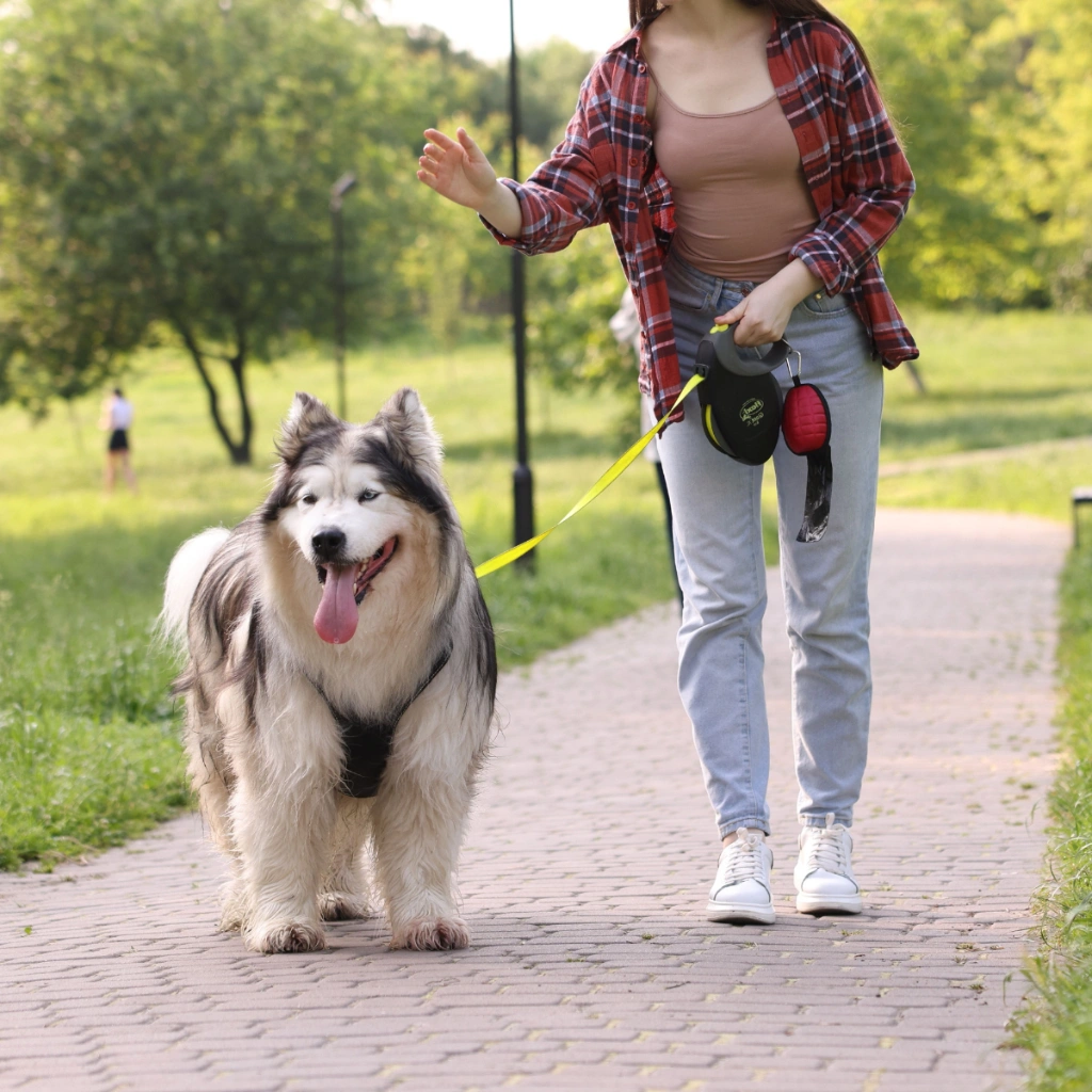 Dog Knockdown Injuries in BC: What if the Dog Did Not Bite You but Still Caused Serious Harm?